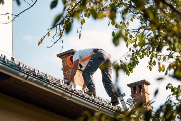 Best Tile Roofing Contractor  in Durand, WI