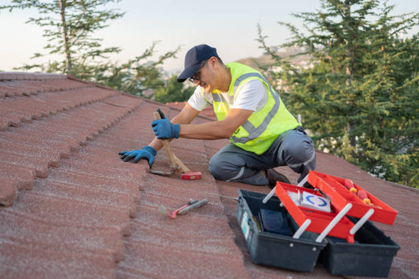 Best Tile Roofing Contractor  in Durand, WI